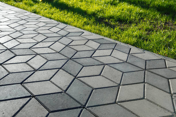 Best Driveway Paving Contractor  in Inver Grove Heights, MN